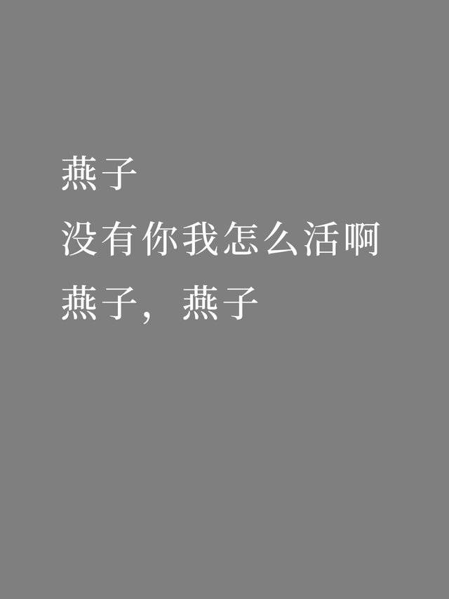 名场面视频录制